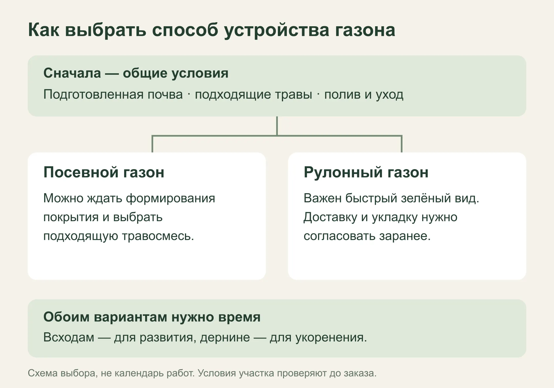 Схема выбора посевного или рулонного газона с общими требованиями к почве и уходу