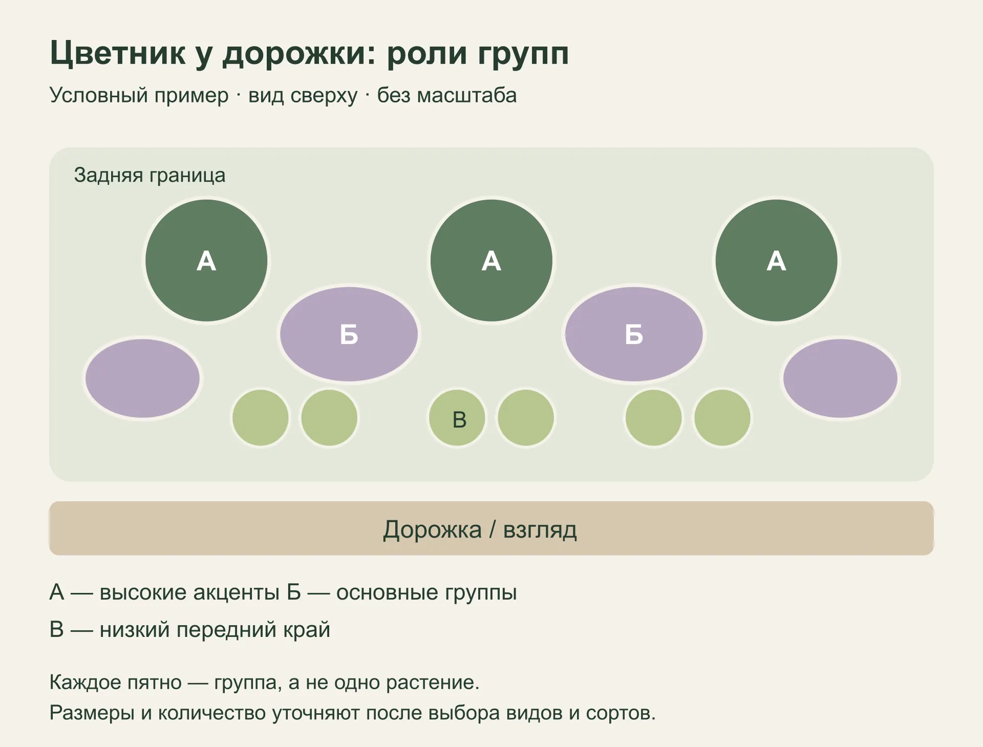 Условная схема цветника у дорожки: высокие акценты, основные группы и низкий передний край