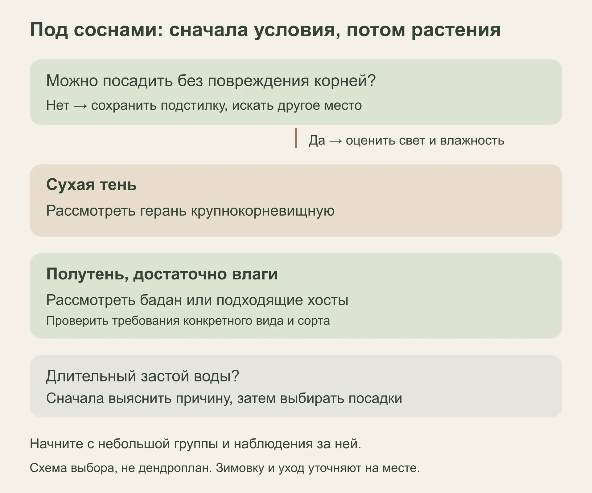 Схема выбора посадок: сохранение корней, свет и влажность, затем подбор растений